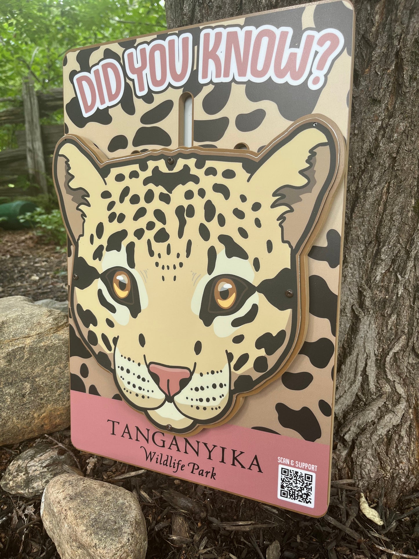 Exotic Animal Fact Sliders (Set of 3)
