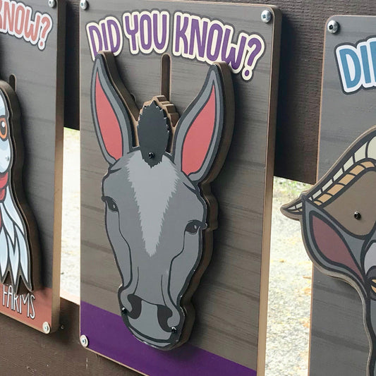 Exotic Animal Fact Sliders (Set of 3)