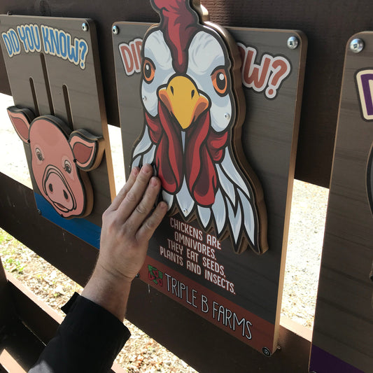 Farm Animal Fact Sliders (Set of 3)