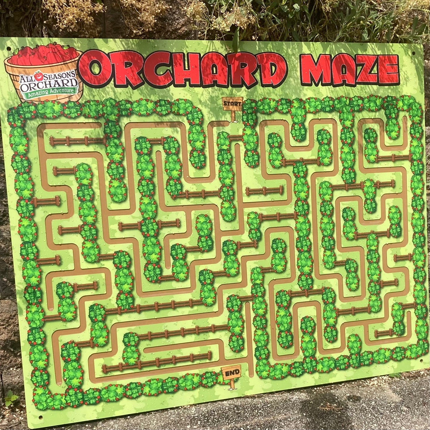Orchard Finger Maze