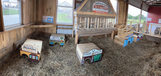 Bunnyville - a memorable rabbit display