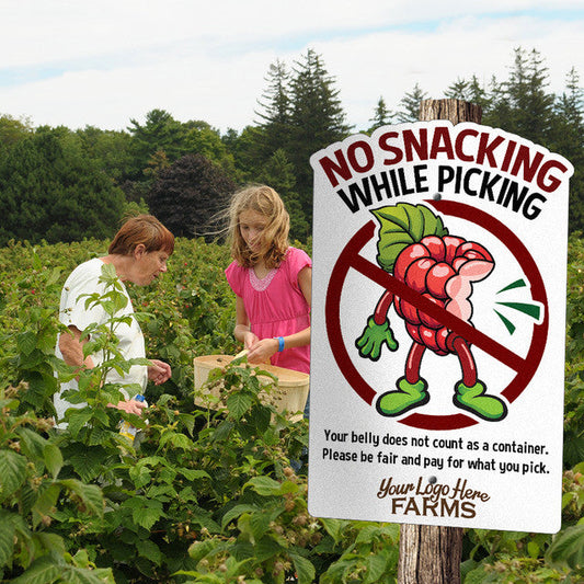 Berry 'Pick-Your-Own' Rules (6 pack)