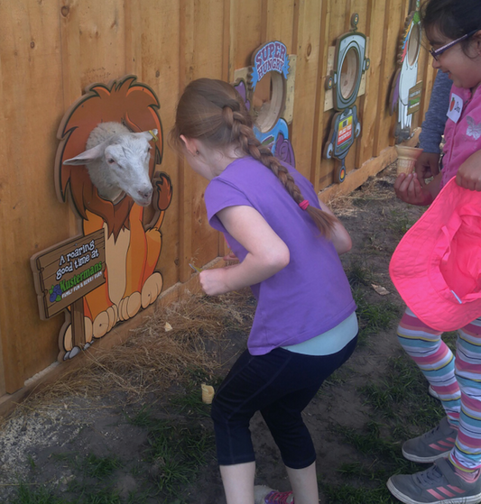 Photo-Opps for Animal Pens