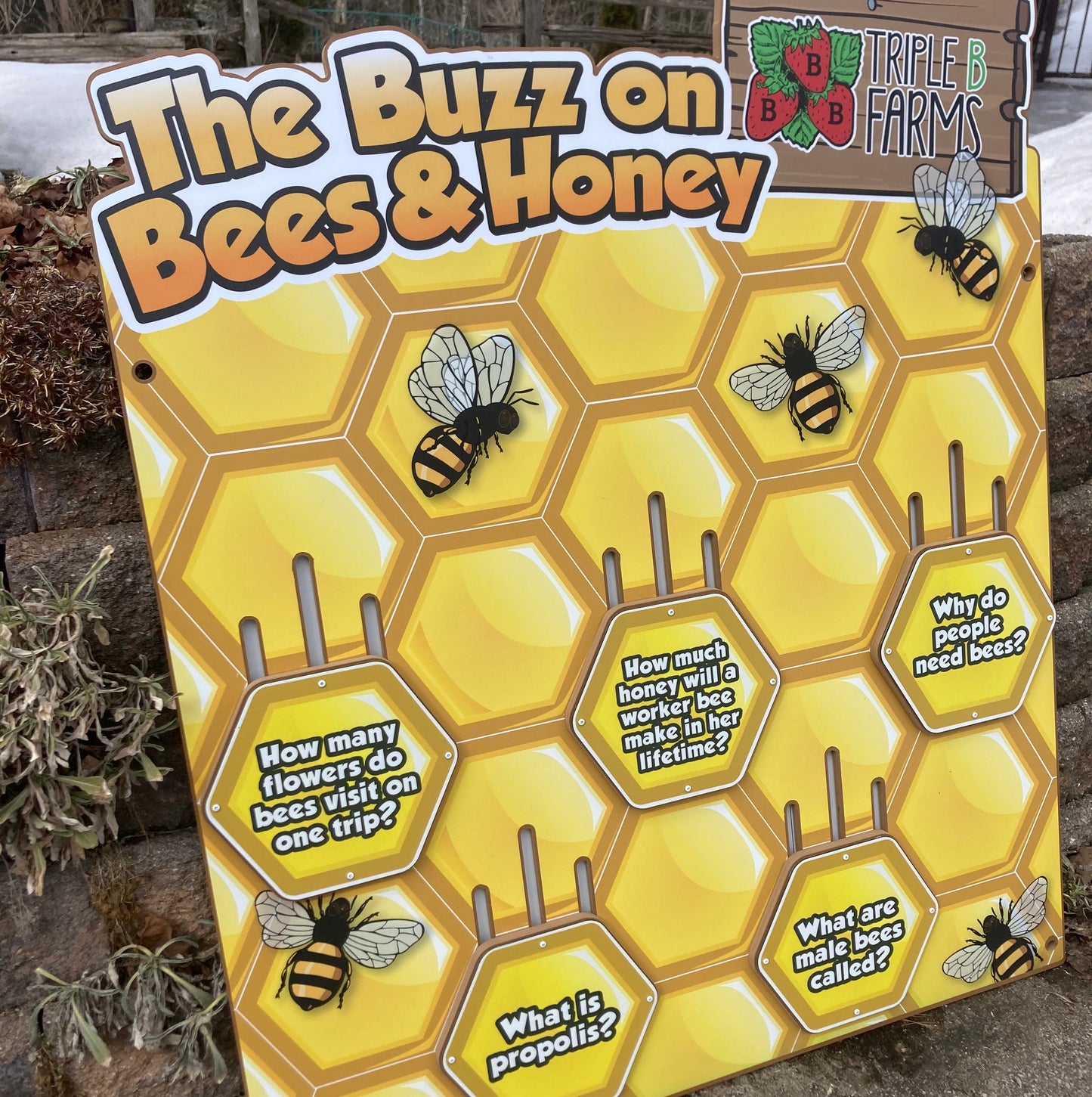 Bees & Honey (multi-fact board)