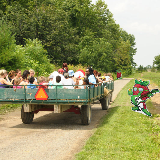 Berry Punny Patch 🍓 Tractor Seek and Find.
