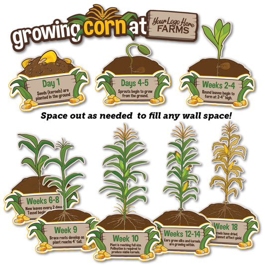 Educational Mural: Growing Corn