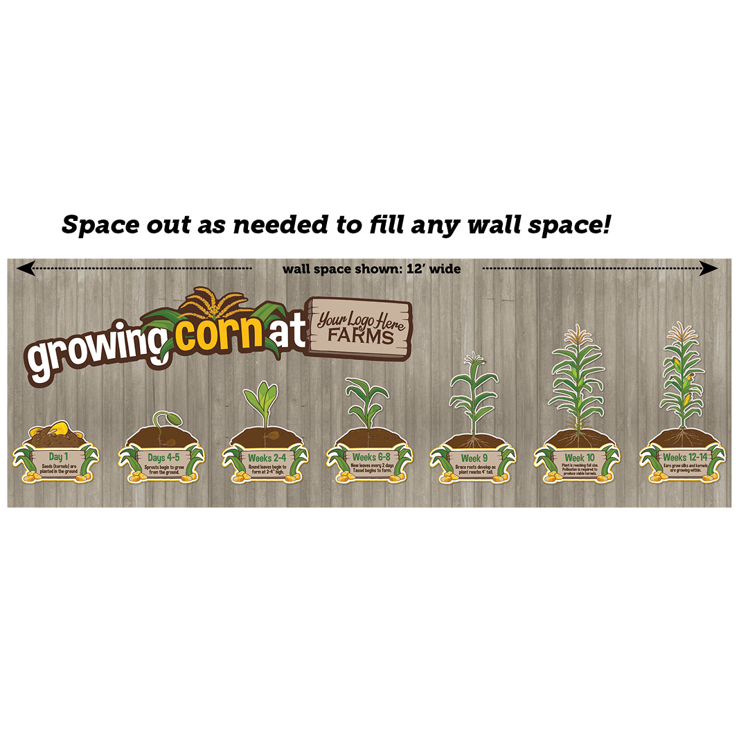 Educational Mural: Growing Corn