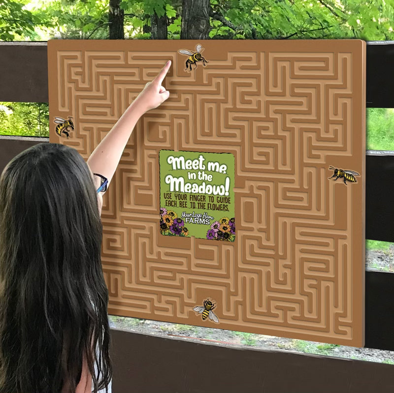 Meet me in the Meadow- Farm Animals