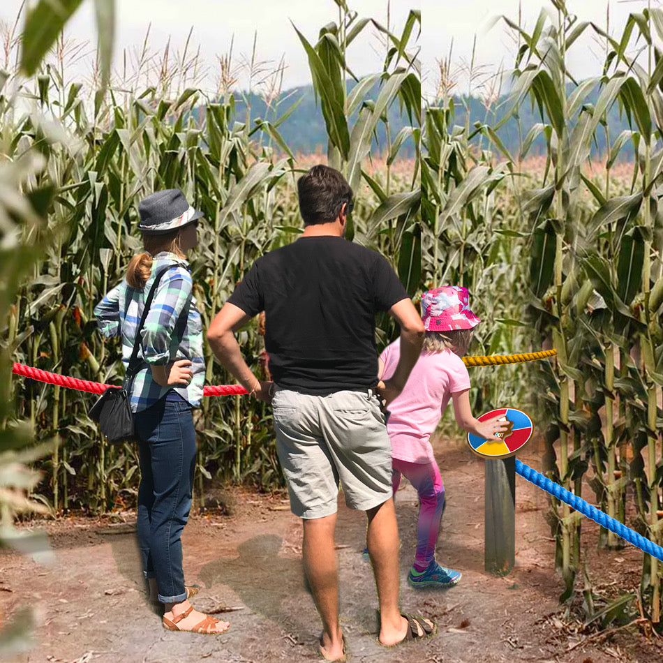 Sunflower SPIN OUT 🌀 Maze Challenge
