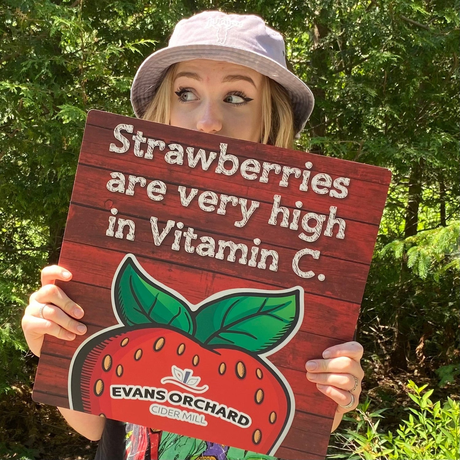 Beautiful Berries
