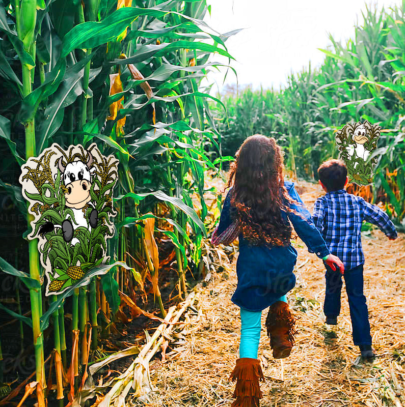 Mazes and Trails