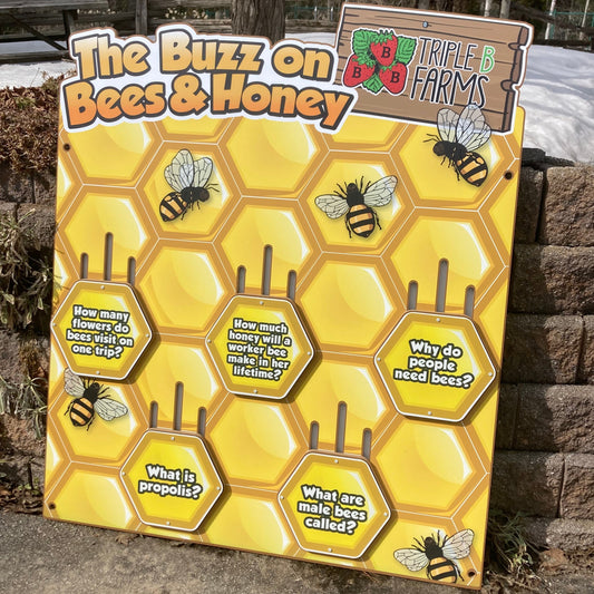 Bees & Honey (multi-fact board)