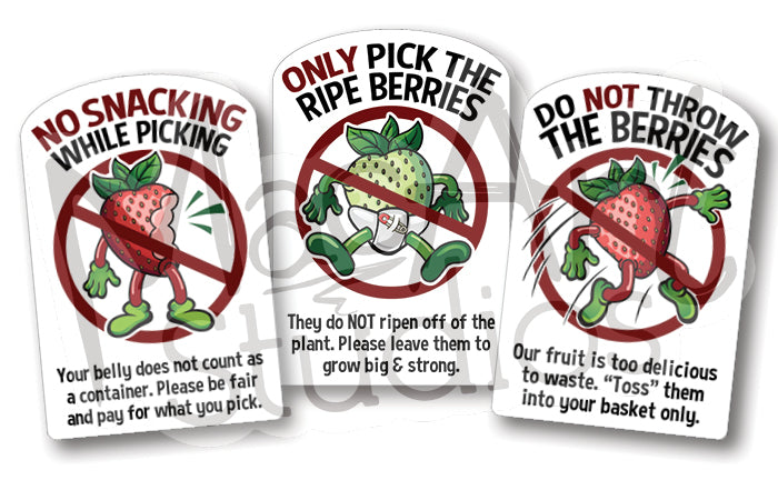 Berry 'Pick-Your-Own' Rules (6 pack)