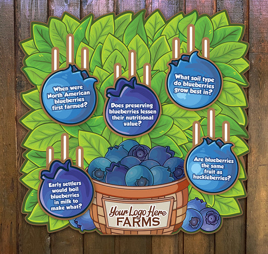Multi-fact sliders: Blueberry