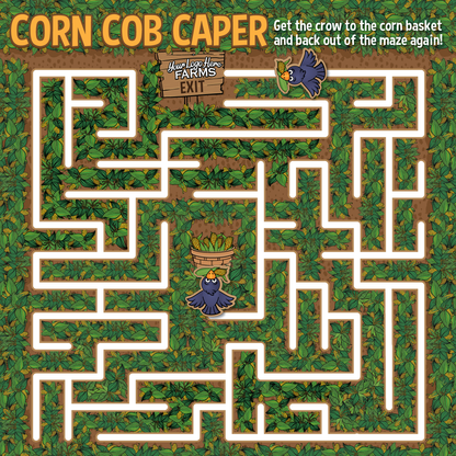 Channel Maze (Kids 10 & under)