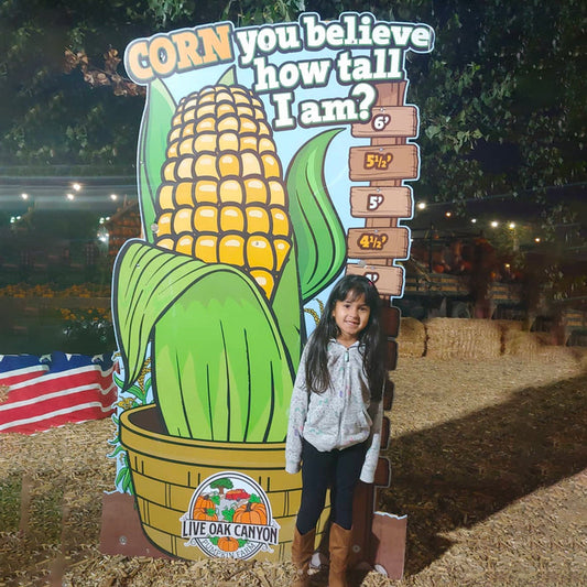 How Tall This Year?  (Corn and Scarecrow)