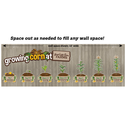 Educational Mural: Growing Corn