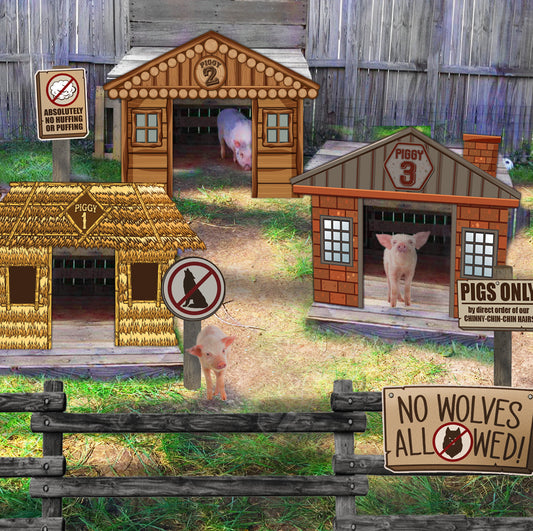 3 Little Pigs • a storybook display