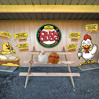 Cluck Clucks - a comedy coop display for your chickens