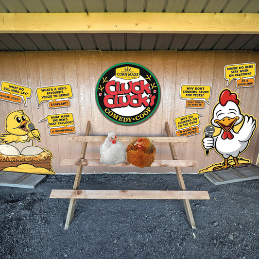 Cluck Clucks - a comedy coop display for your chickens