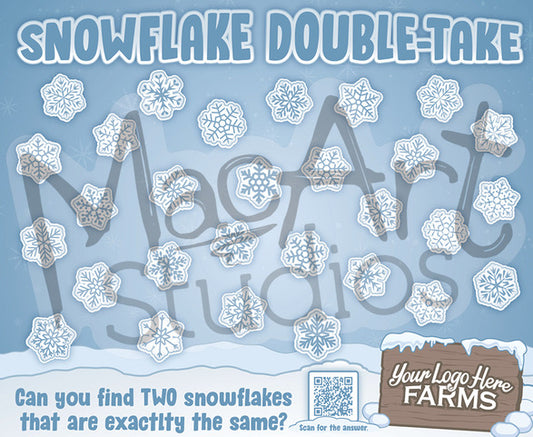 Snowflake Double Take!