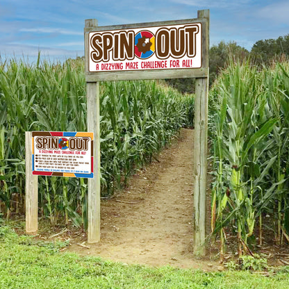 SPIN OUT 🌀 Maze Challenge