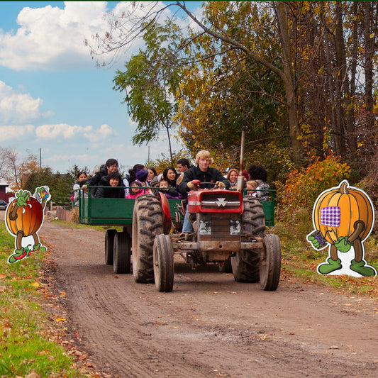 'PUN'kin Pals 🎃 a Seek & Find Tractor Ride.